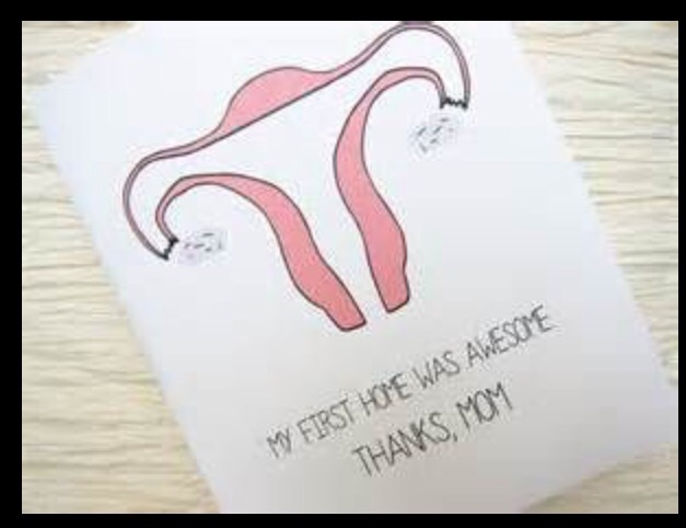 “Home Inspection” aka&nbsp;Hysteroscopy