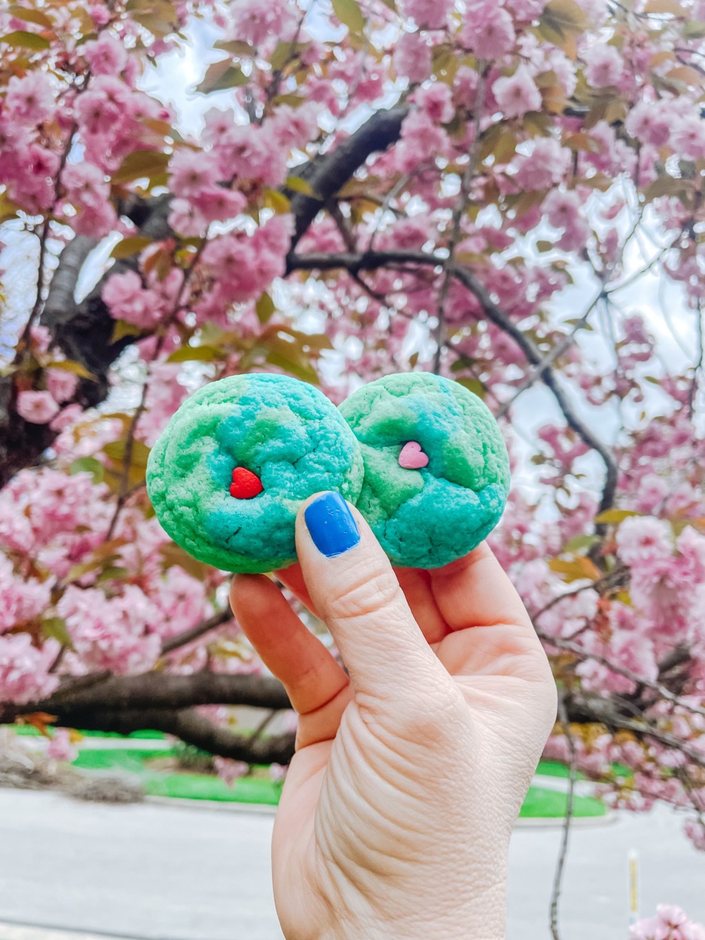 Earth Day Cookies